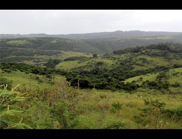 168HA FARM FOR SALE IN EAST LONDON RURAL